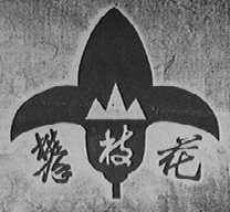 攀枝花
