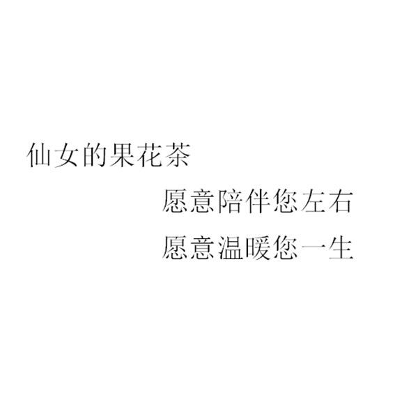仙女的果茶花 愿意陪伴您左右 愿意温暖您一生