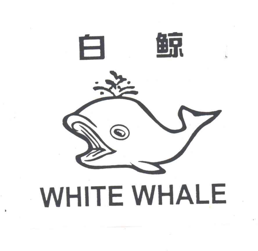 白鲸