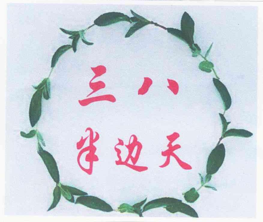三八半边天