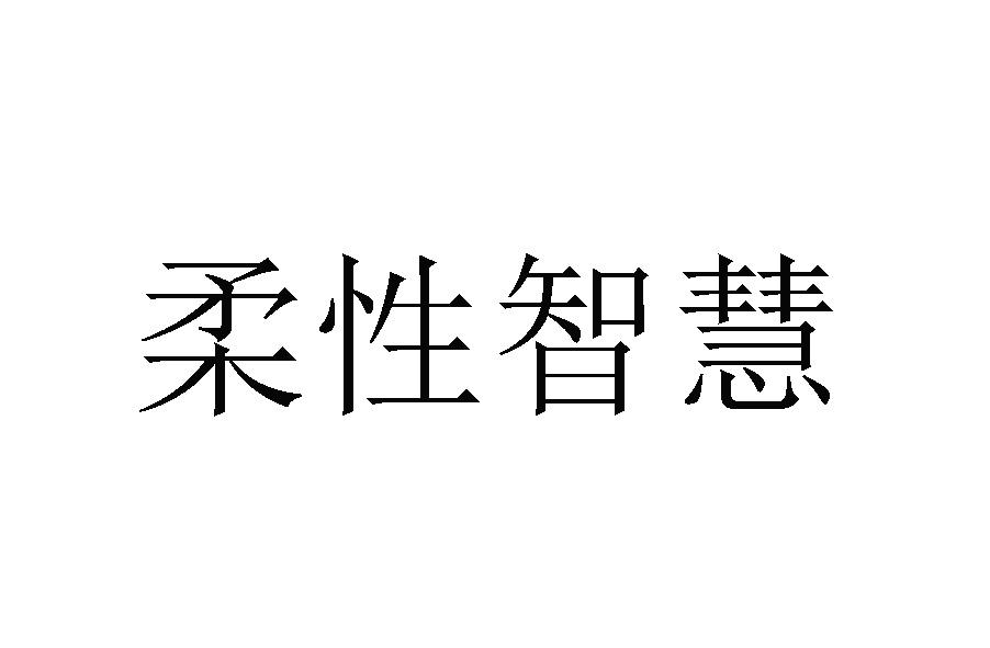 柔性智慧
