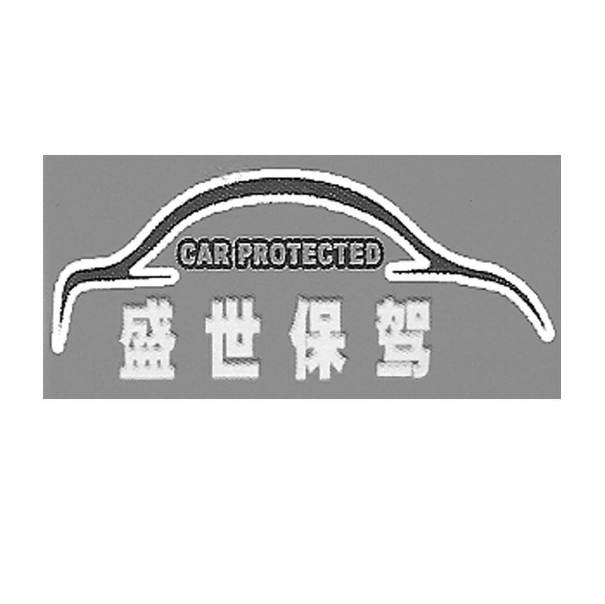盛世保驾 CARPROTECTED