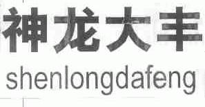 神龙大丰