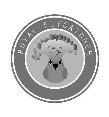 ROYAL-FLYCATCHER