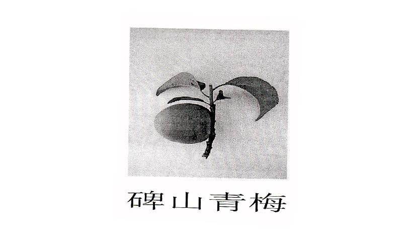 碑山青梅