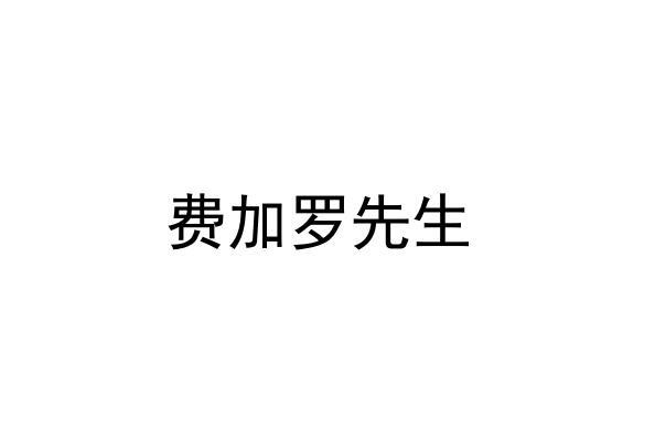 费加罗先生