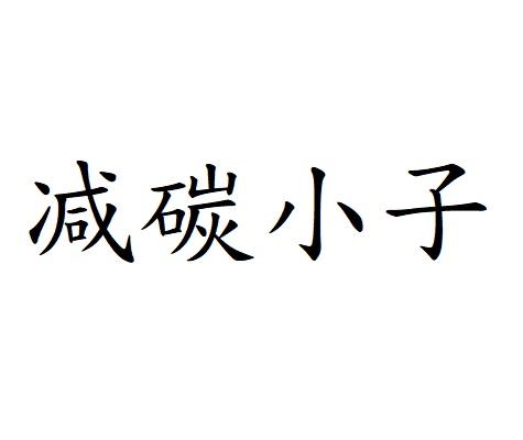减碳小子