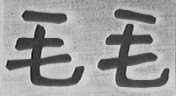 毛毛