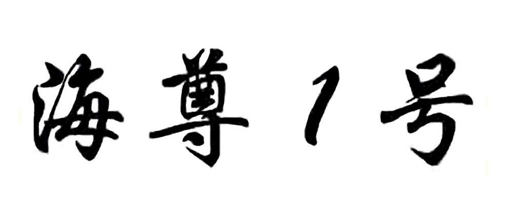 海尊1号