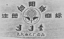 向阳