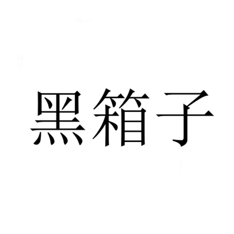 黑箱子