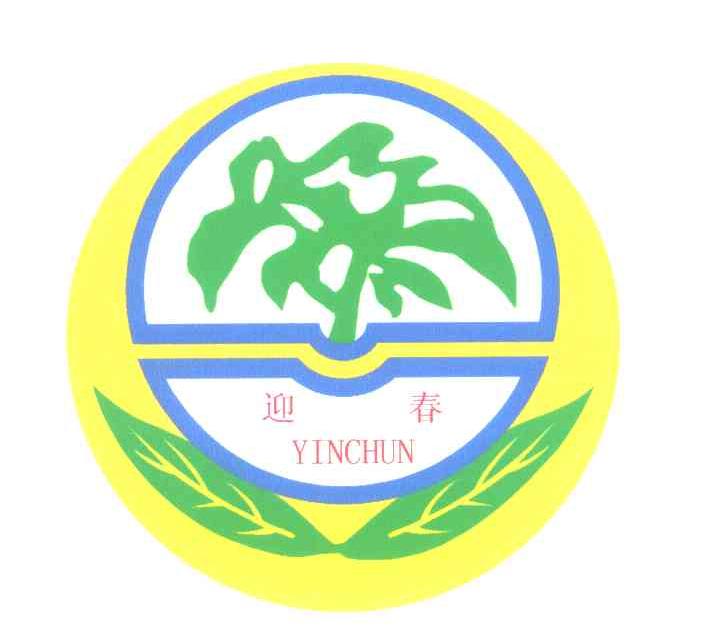 迎春