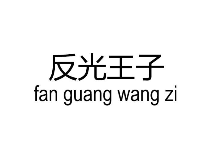 反光王子