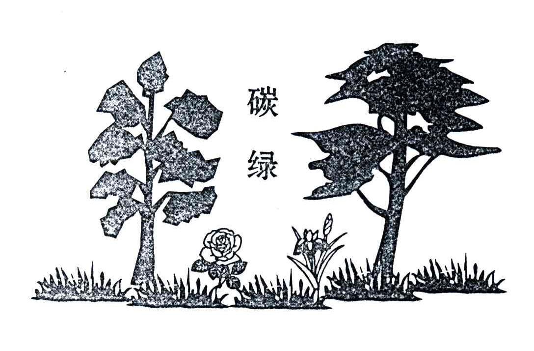 碳绿