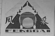 风采