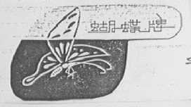 蝴蝶