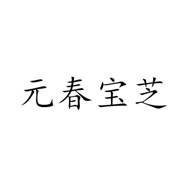 元春宝芝