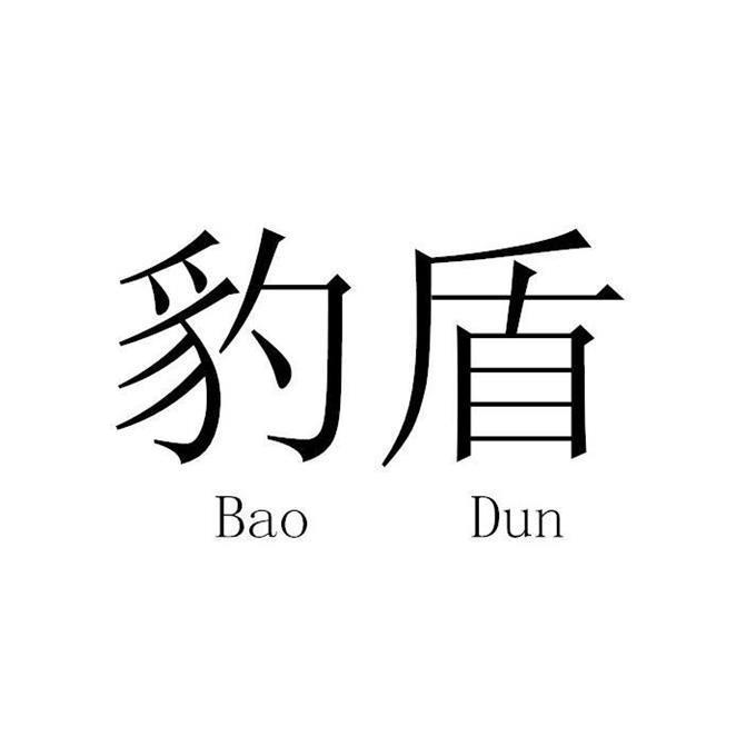 豹盾