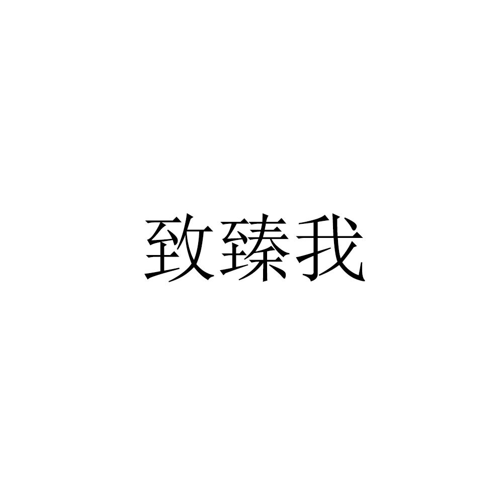 致臻我