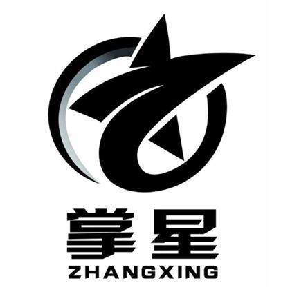 掌星