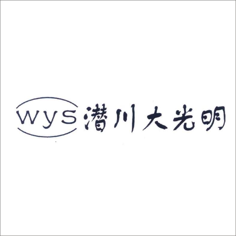 WYS 潜川大光明