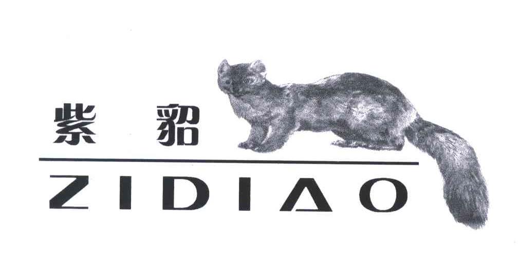 紫貂