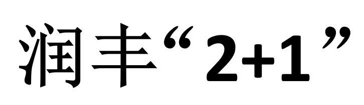 润丰“2+1”