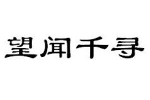 望闻千寻