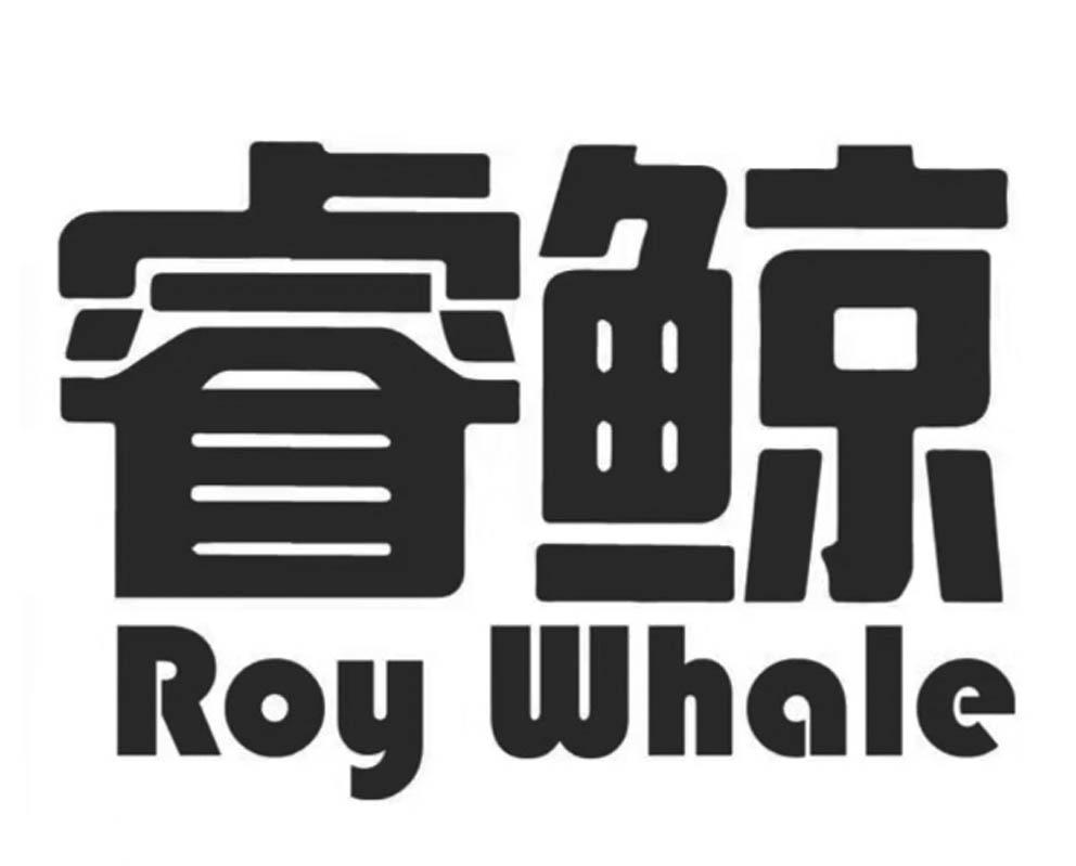睿鲸 RAY WHALE