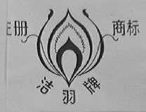 洁羽
