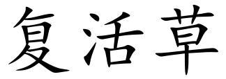 复活草