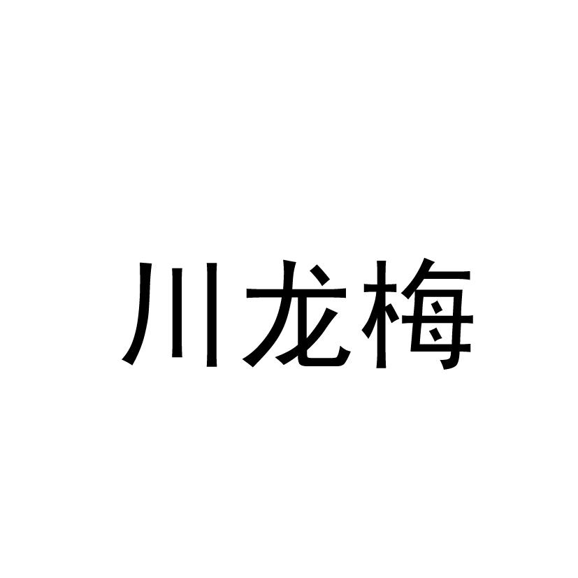 川龙梅