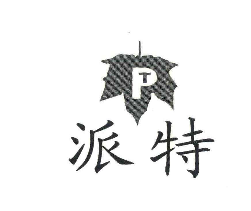 派特;PT