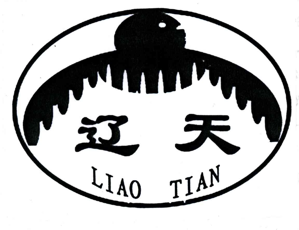 辽天
