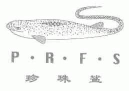 珍珠鲨;P.R.F.S
