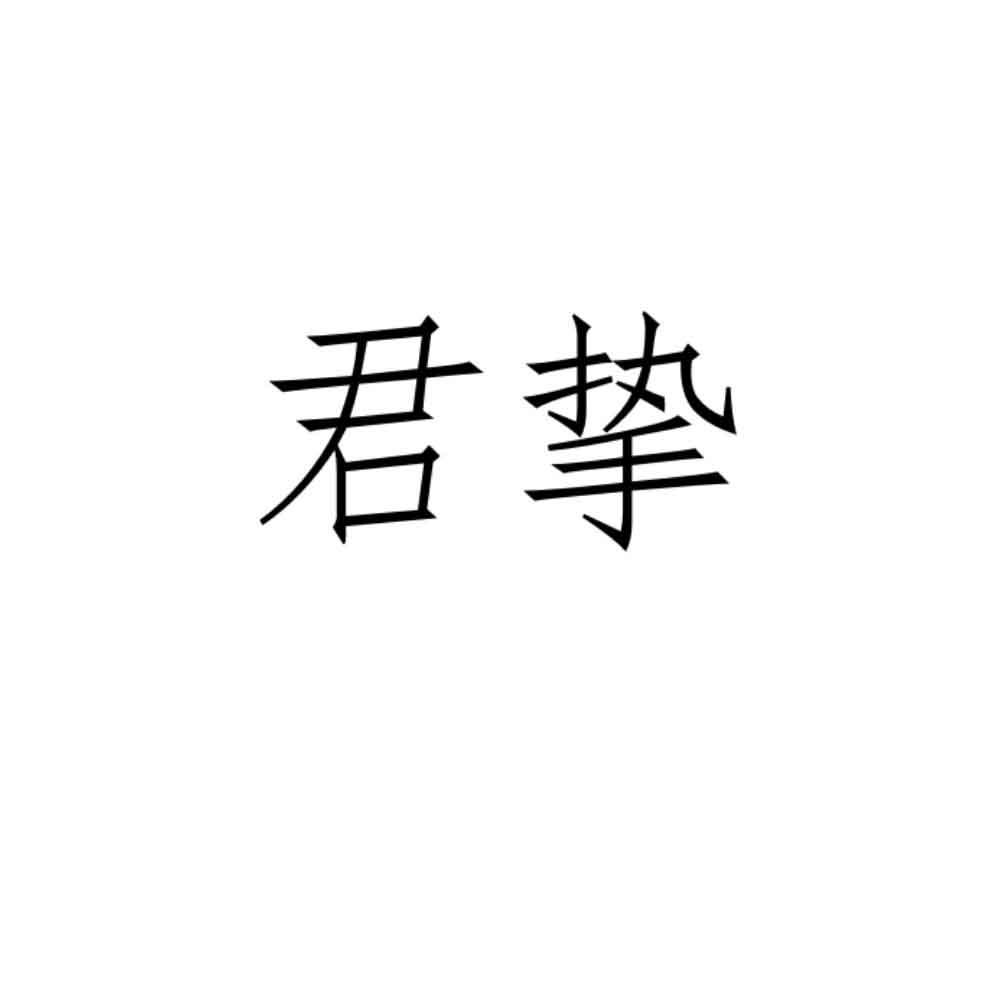 君挚