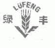 绿丰