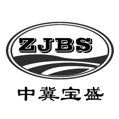 中冀宝盛 ZJBS