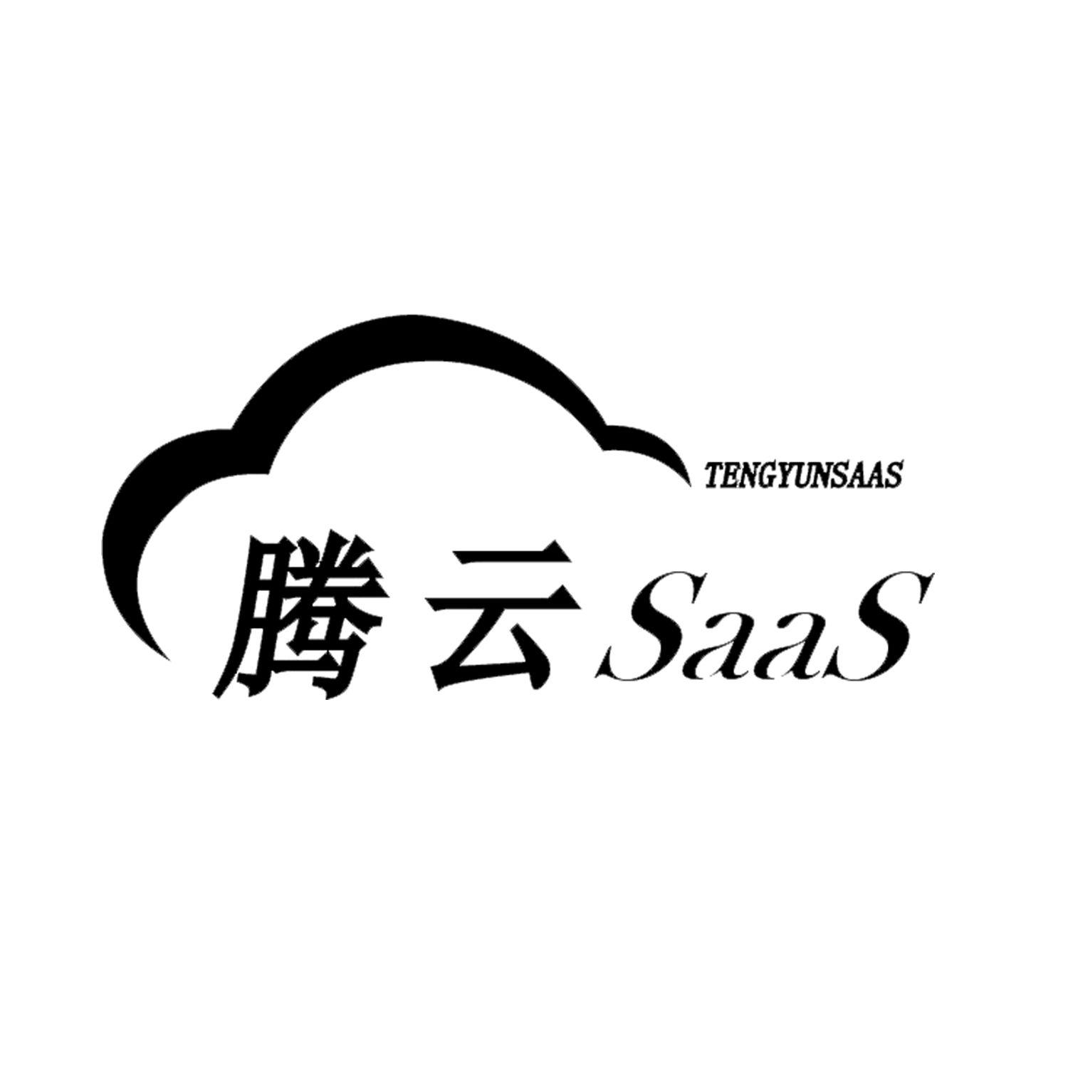 腾云 TENGYUNSAAS SAAS