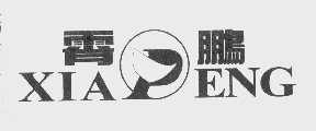 霄鹏