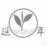 延年