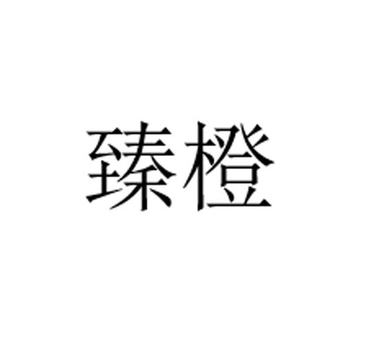 臻橙