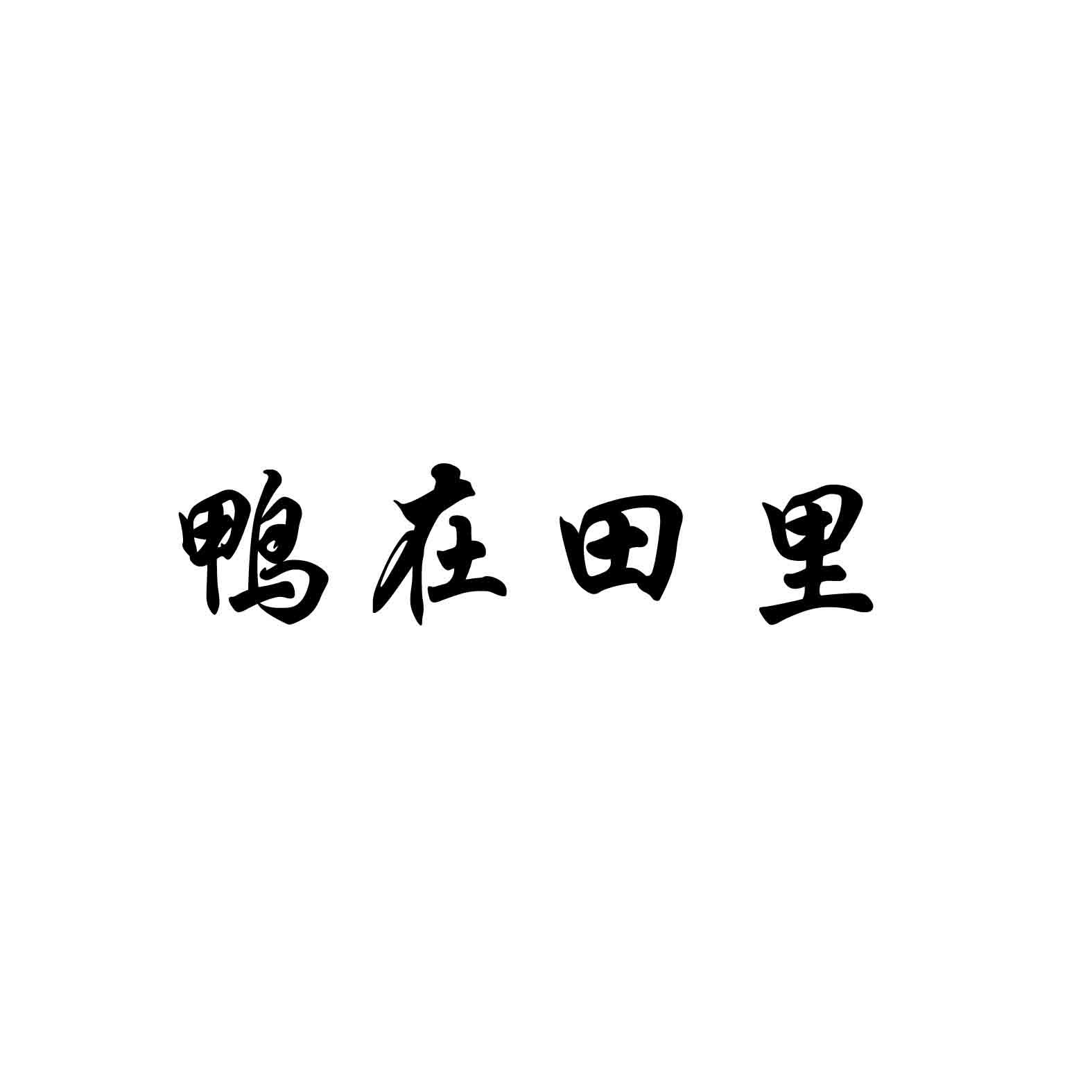 鸭在田里