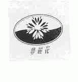 梦丽花