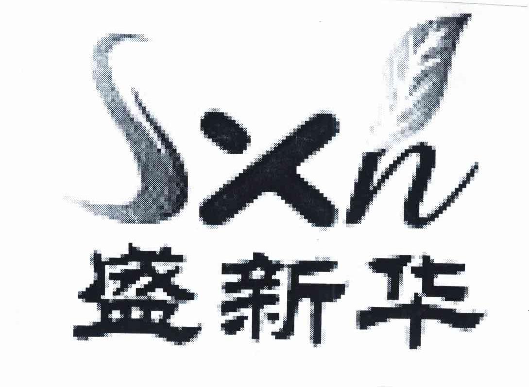 盛新华 SXH