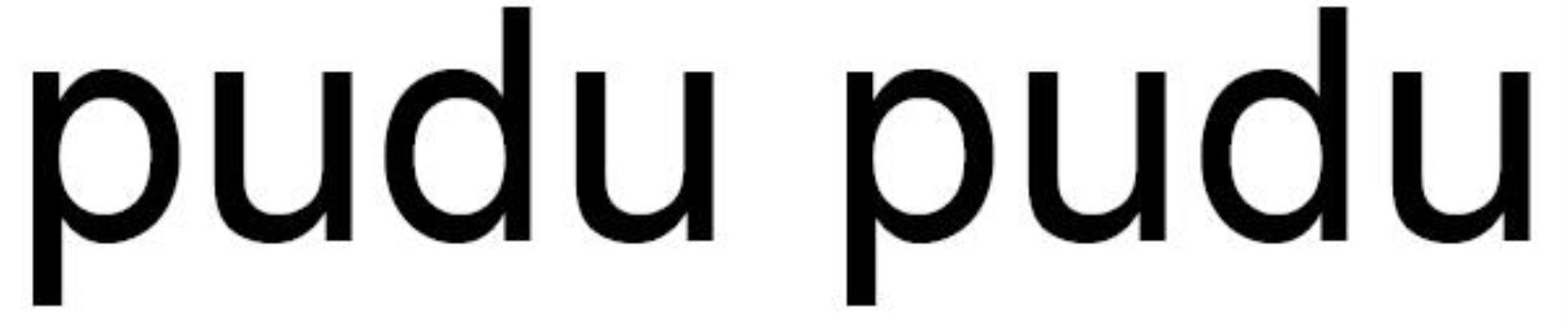 PUDU PUDU
