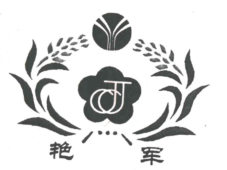 艳军