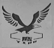 鹰