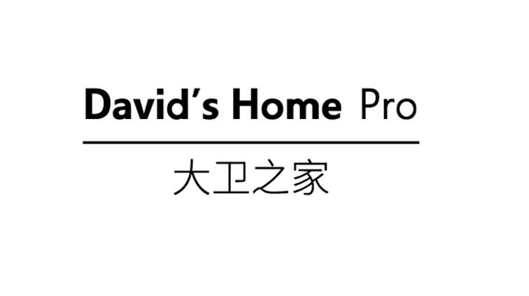 大卫之家 DAVID'S HOME PRO