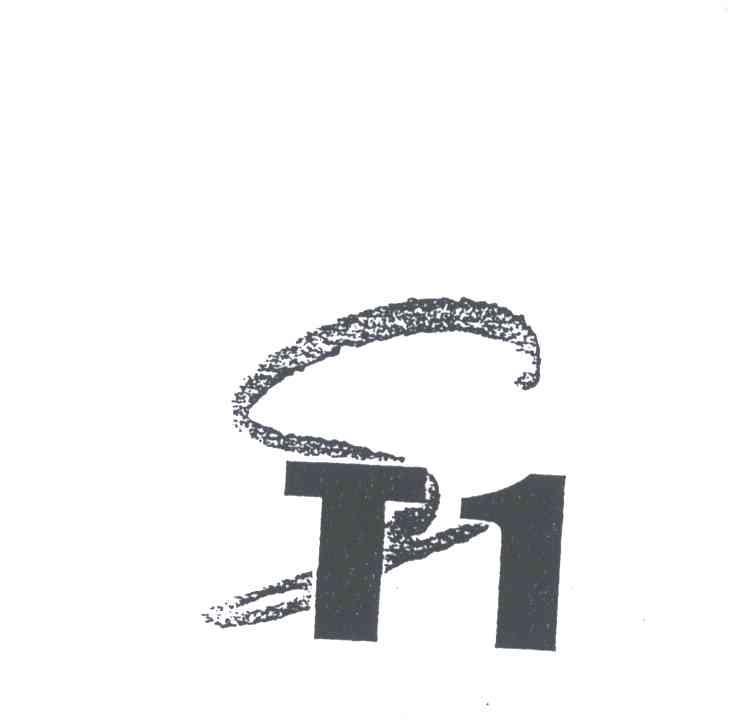 T1